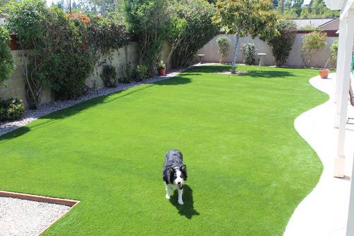 Dog Turf Installation